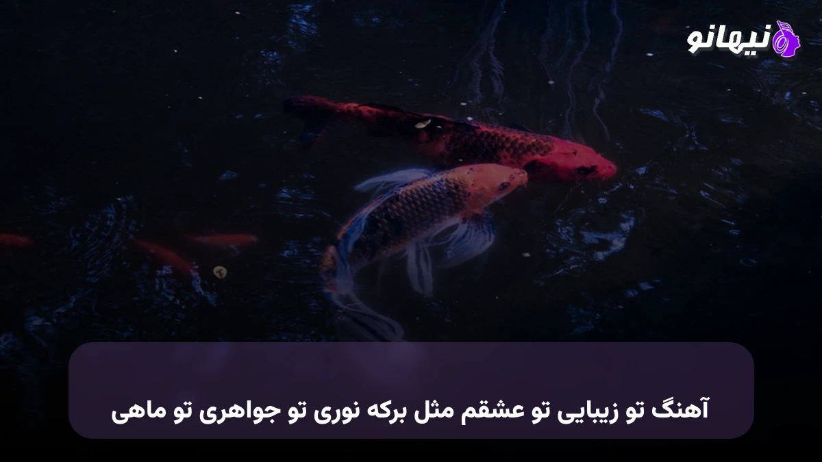دانلود آهنگ تو زیبایی تو عشقم مثل برکه نوری تو جواهری تو ماهی صدای زن هوش مصنوعی